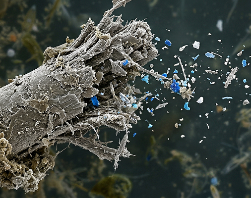 Microplastics
